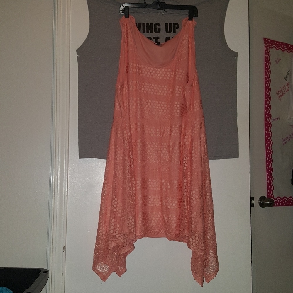 Torrid Pink Lace Dress